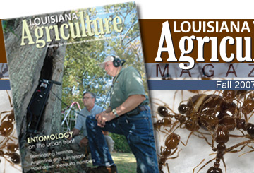 Louisiana Agriculture Magazine