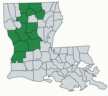 An illustration of the state of Louisiana in gray with the following parishes highlighted in green: Union, Beauregard, Bienville, Claiborne, Grant, Lincoln, Natchitoches, Ouachita, Rapides, Sabine, Vernon and Winn parishes.