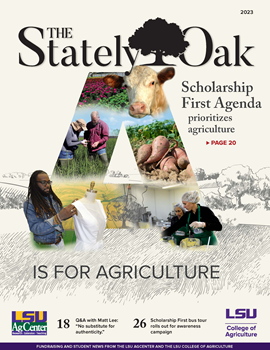 Stately Oak 2023