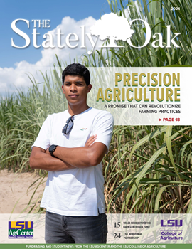 Stately Oak 2024