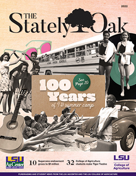 Stately Oak 2022