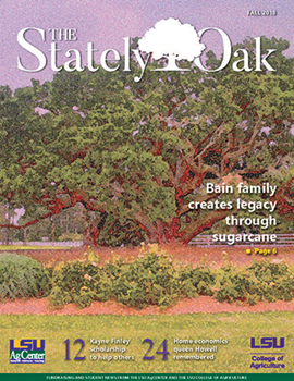 Stately Oak 2018