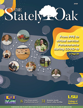 Stately Oak 2020