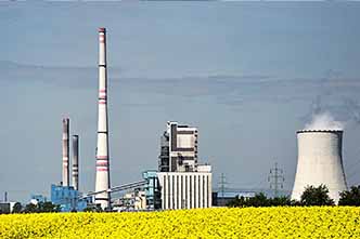 Biofuels, Feedstocks and Bioproducts
