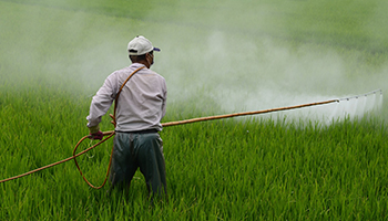 Pesticide Safety Program