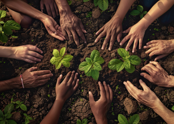 Master Volunteer Programs