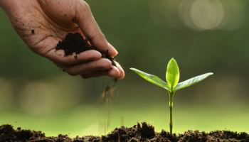 Farmer Resources