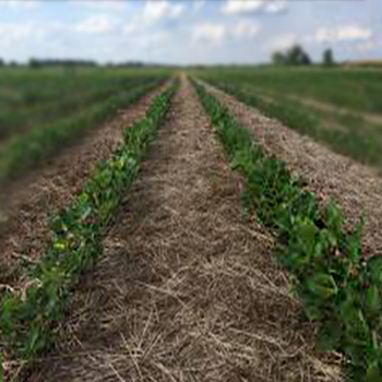Practical Farm Certification