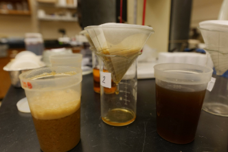 Conventional Sugar