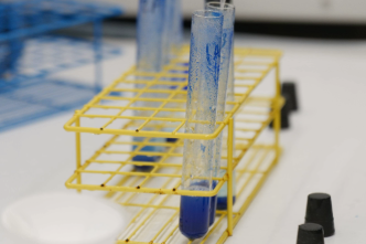 Enzymatic Assays