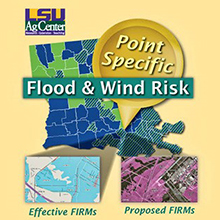 Disaster Mitigation
