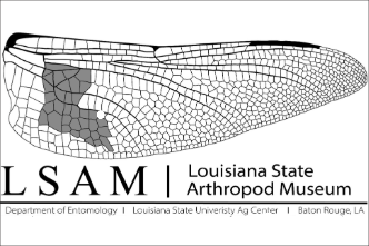 Support the Louisiana State Arthropod Museum