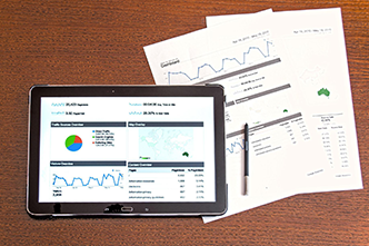 Reporting & Plans of Work