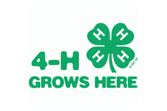 About 4-H