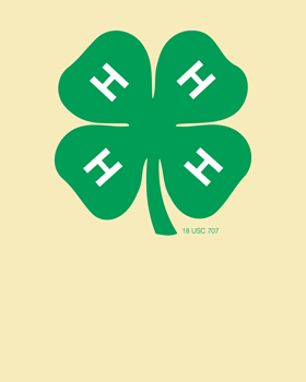 About 4-H