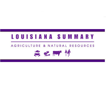 AgSummary