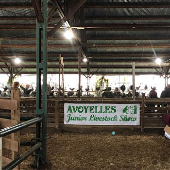 Livestock Show