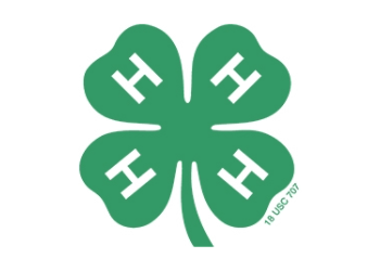 About 4-H