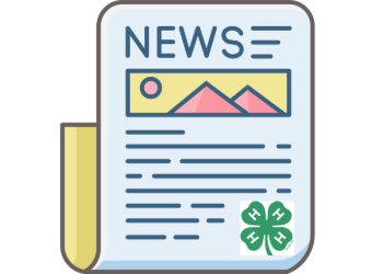 Newsletters