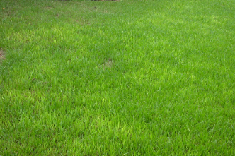 Lawns