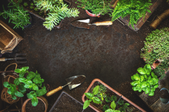 Policy, Systems, and Environmental Changes