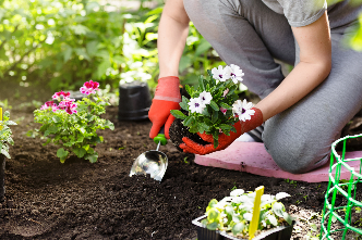Horticulture