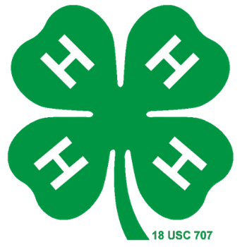 About 4-H