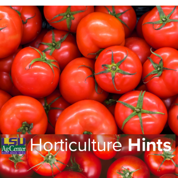 Horticulture Hints