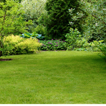 Horticulture Connection