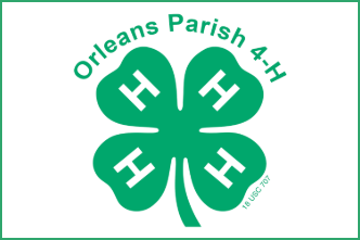 4-H Youth Development