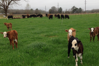 Agriculture and Natural Resources