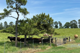 Agriculture and Natural Resources