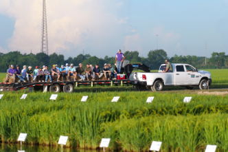 Agriculture & Natural Resources