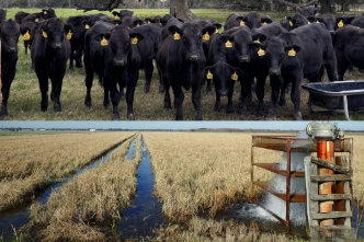 Agriculture & Natural Resources