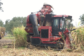 Agriculture & Natural Resources