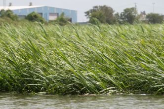 Agriculture & Natural Resources