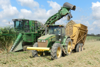 Agriculture & Natural Resources