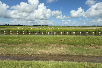 Agriculture & Natural Resources