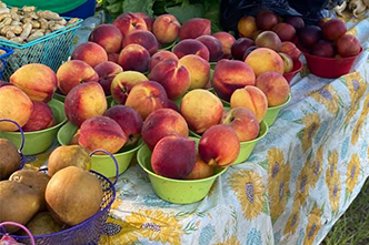 Nutrition and Community Health