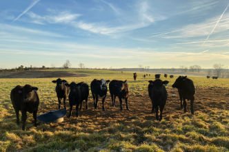 Agriculture & Natural Resources