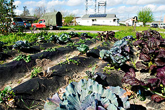 Agriculture & Horticulture