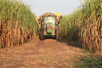 Agriculture & Horticulture