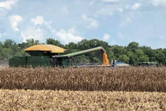 Agriculture and Horticulture