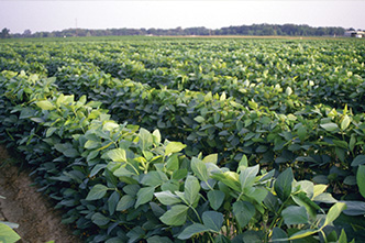 Agriculture and Natural Resources