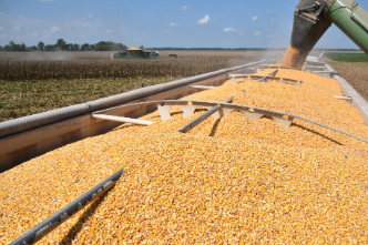 Agriculture & Natural Resources