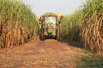 Agriculture & Natural Resources