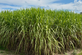 Agriculture and Natural Resources
