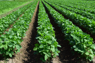 Agriculture and Natural Resources