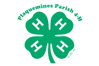 4-H