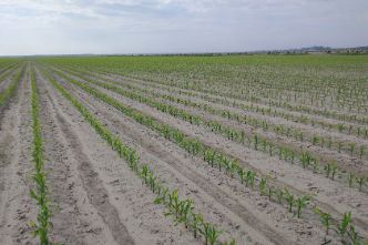 Agriculture & Natural Resources